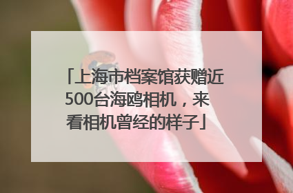 上海市档案馆获赠近500台海鸥相机，来看相机曾经的样子