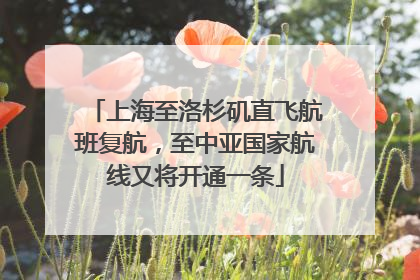上海至洛杉矶直飞航班复航，至中亚国家航线又将开通一条