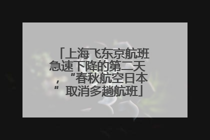 上海飞东京航班急速下降的第二天，“春秋航空日本”取消多趟航班