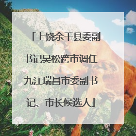 上饶余干县委副书记吴松跨市调任九江瑞昌市委副书记、市长候选人