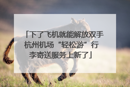 下了飞机就能解放双手 杭州机场“轻松游”行李寄送服务上新了