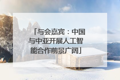 与会嘉宾：中国与中亚开展人工智能合作前景广阔