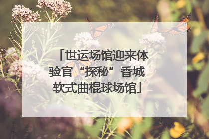 世运场馆迎来体验官“探秘”香城软式曲棍球场馆