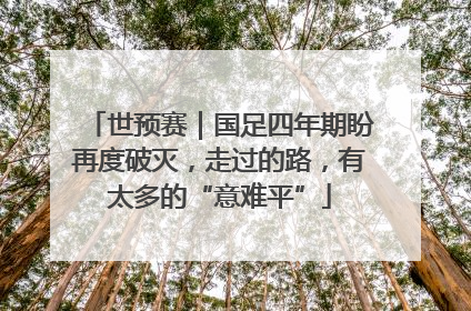 世预赛｜国足四年期盼再度破灭，走过的路，有太多的“意难平”