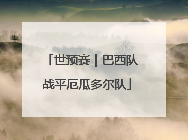 世预赛｜巴西队战平厄瓜多尔队