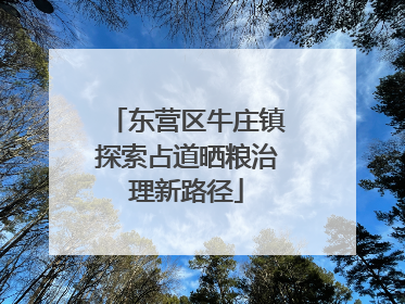 东营区牛庄镇探索占道晒粮治理新路径