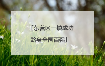 东营区一镇成功跻身全国百强