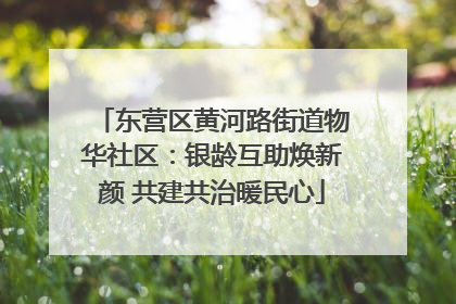 东营区黄河路街道物华社区：银龄互助焕新颜 共建共治暖民心