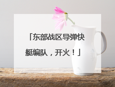 东部战区导弹快艇编队，开火！