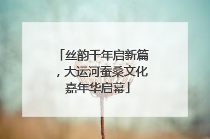 丝韵千年启新篇，大运河蚕桑文化嘉年华启幕