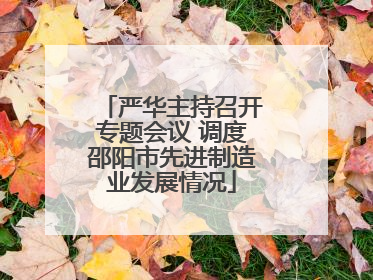 严华主持召开专题会议 调度邵阳市先进制造业发展情况