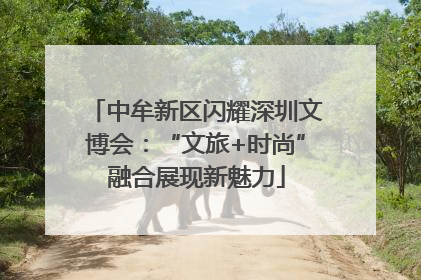 中牟新区闪耀深圳文博会：“文旅+时尚”融合展现新魅力