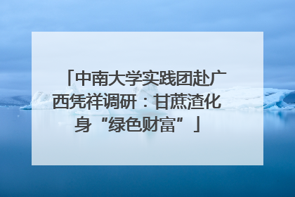 中南大学实践团赴广西凭祥调研：甘蔗渣化身“绿色财富”