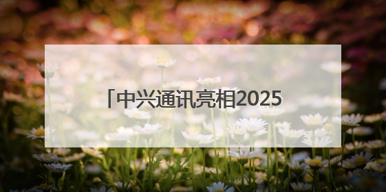 中兴通讯亮相2025全球人工智能终端展，展示AI全场景生态布局