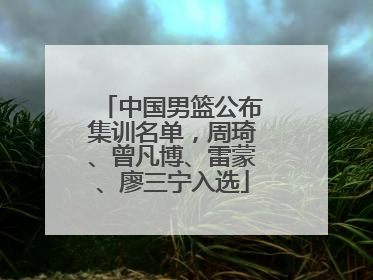 中国男篮公布集训名单，周琦、曾凡博、雷蒙、廖三宁入选
