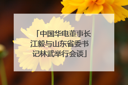 中国华电董事长江毅与山东省委书记林武举行会谈