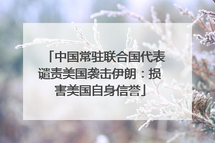 中国常驻联合国代表谴责美国袭击伊朗：损害美国自身信誉