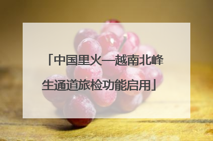 中国里火—越南北峰生通道旅检功能启用