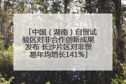 中国（湖南）自贸试验区对非合作创新成果发布 长沙片区对非贸易年均增长141%