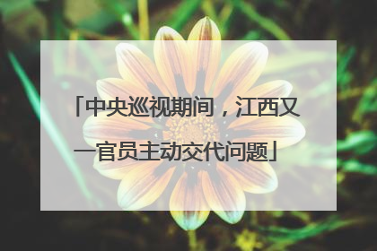 中央巡视期间，江西又一官员主动交代问题