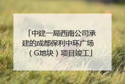 中建一局西南公司承建的成都保利中环广场（G地块）项目竣工