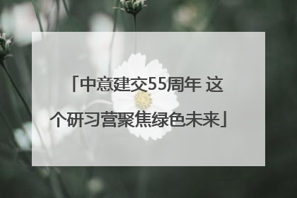 中意建交55周年 这个研习营聚焦绿色未来