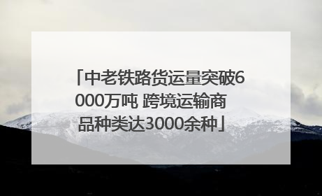 中老铁路货运量突破6000万吨 跨境运输商品种类达3000余种