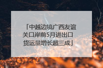 中越边境广西友谊关口岸前5月进出口货运量增长超三成