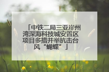 中铁二局三亚崖州湾深海科技城安置区项目多措并举抗击台风“蝴蝶”