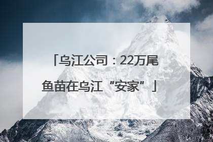 乌江公司：22万尾鱼苗在乌江“安家”