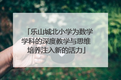 乐山城北小学为数学学科的深度教学与思维培养注入新的活力