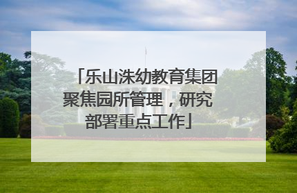 乐山洙幼教育集团聚焦园所管理，研究部署重点工作