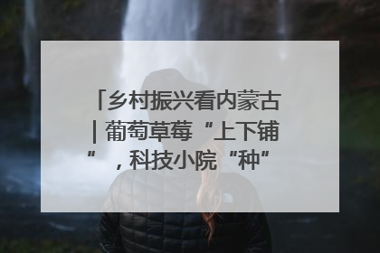 乡村振兴看内蒙古｜葡萄草莓“上下铺”，科技小院“种”出三倍效益