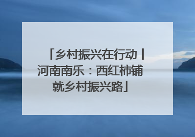 乡村振兴在行动丨河南南乐：西红柿铺就乡村振兴路