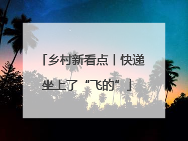 乡村新看点丨快递坐上了“飞的”