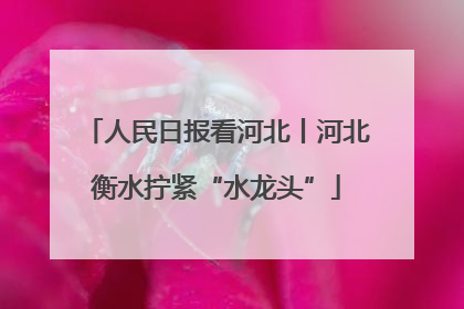 人民日报看河北丨河北衡水拧紧“水龙头”