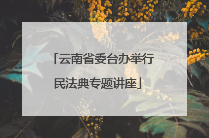 云南省委台办举行民法典专题讲座