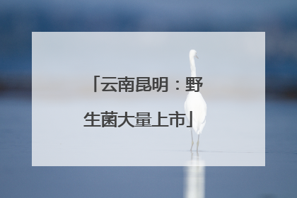 云南昆明：野生菌大量上市