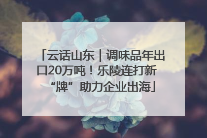 云话山东｜调味品年出口20万吨！乐陵连打新“牌”助力企业出海
