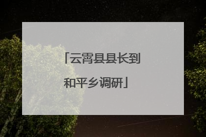 云霄县县长到和平乡调研