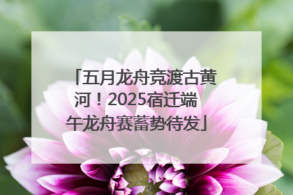 五月龙舟竞渡古黄河！2025宿迁端午龙舟赛蓄势待发