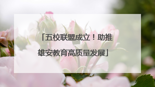 五校联盟成立！助推雄安教育高质量发展