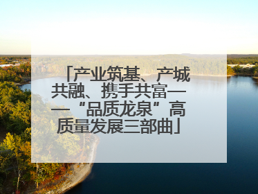 产业筑基、产城共融、携手共富——“品质龙泉”高质量发展三部曲