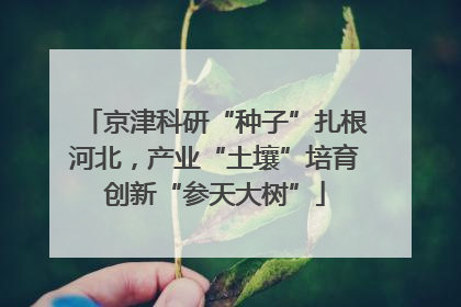 京津科研“种子”扎根河北，产业“土壤”培育创新“参天大树”
