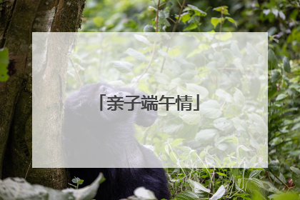 亲子端午情