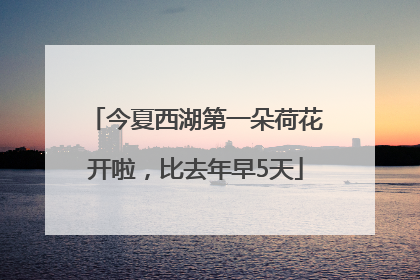 今夏西湖第一朵荷花开啦，比去年早5天