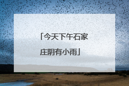 今天下午石家庄阴有小雨