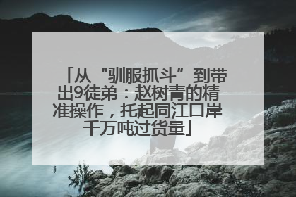 从“驯服抓斗”到带出9徒弟：赵树青的精准操作，托起同江口岸千万吨过货量