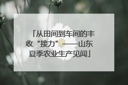 从田间到车间的丰收“接力”——山东夏季农业生产见闻