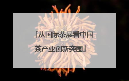 从国际茶展看中国茶产业创新突围